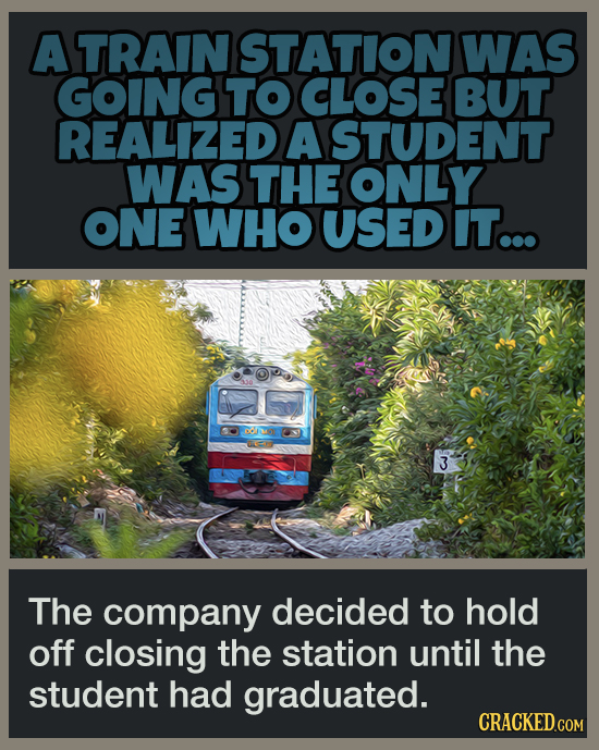 16 Pleasant Facts To Temporarily Distract You From More Terrible News