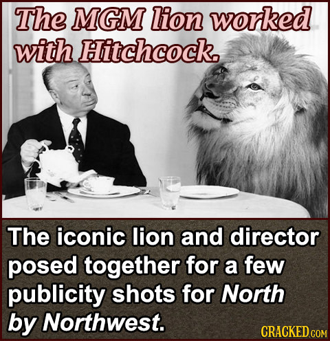 The MGM lion worked with Hitchcock. The iconic lion and director posed together for a few publicity shots for North by Northwest. CRACKED COM