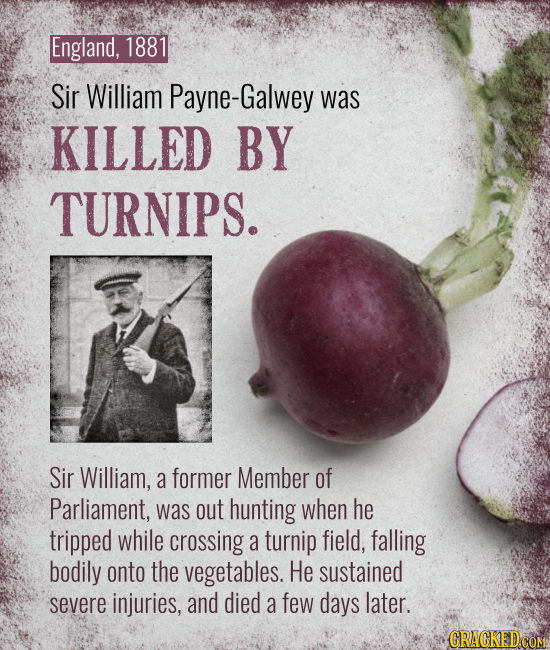 England, 1881 Sir William Payne-Galwey was KILLED BY TURNIPS. Sir William, a former Member of Parliament, was out hunting when he tripped while crossi