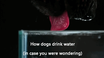 37 Everyday Things That Look Insane in Slow Motion