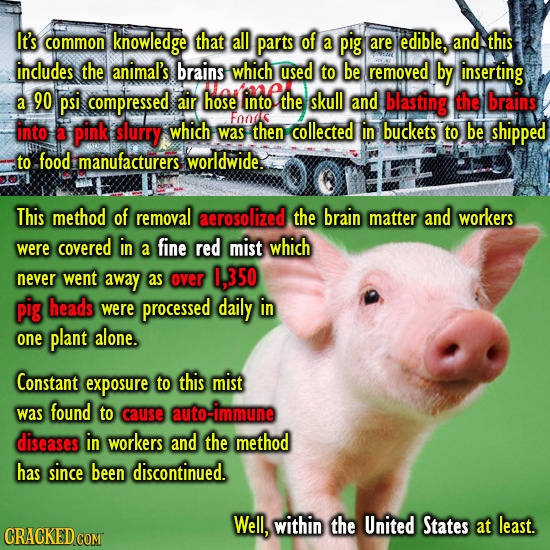 It's common knowledge that all parts of a pig are edible, and this includes the animal's brains which used to be removed by inserting 90 psi compresse
