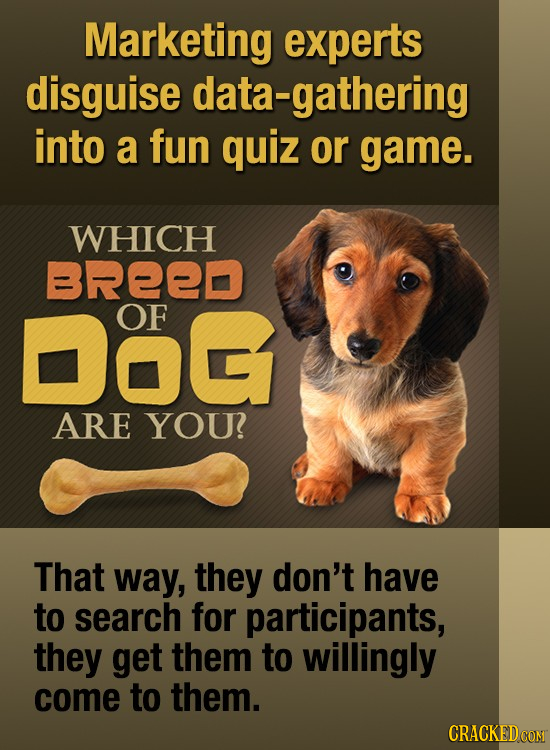 Marketing experts disguise data-gathering into a fun quiz or game. WHICH BREED Dog OF ARE YOU That way, they don't have to search for participants, th