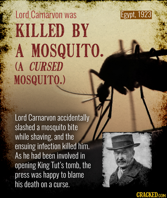 Egypt, 1923 Lord Carnarvon was KILLED BY A MOSQUITO. (A CURSED MOSQUITO.) Lord Carnarvon accidentally slashed a mosquito bite while shaving, and the e