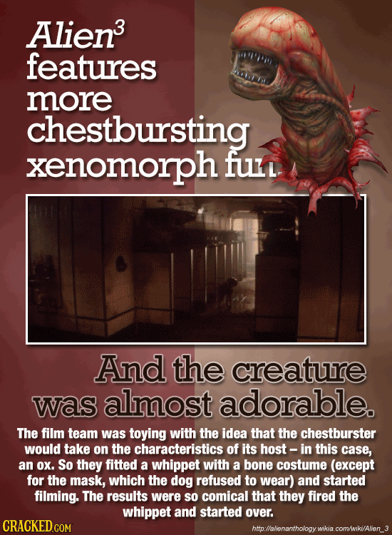 25 Fav Characters That Were Almost Awful