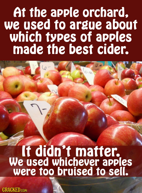 At the apple orchard, we used to argue about which types of apples made the best cider. It didn't matter. We used whichever apples were too bruised to