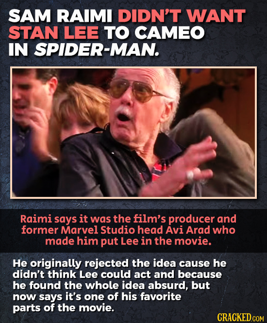 SAM RAIMI DIDN'T WANT STAN LEE TO CAMEO IN SPIDER-MAN. Raimi says it was the film's producer and former Marvel Studio head Avi Arad who made him put L