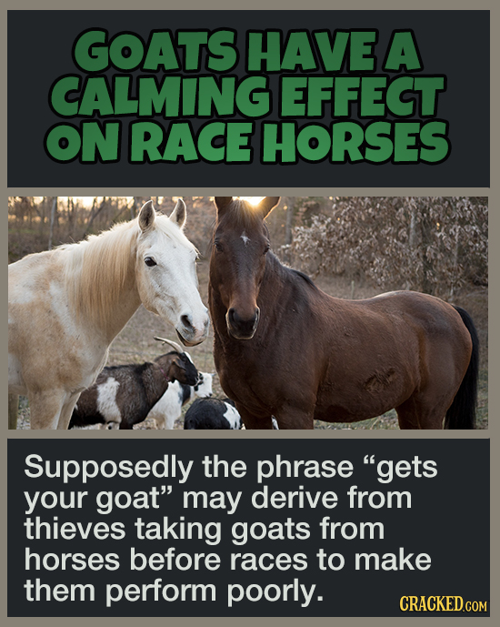 16 Pleasant Facts To Temporarily Distract You From More Terrible News