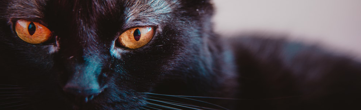 22 Historical Halloween Facts To Hex Your Brain