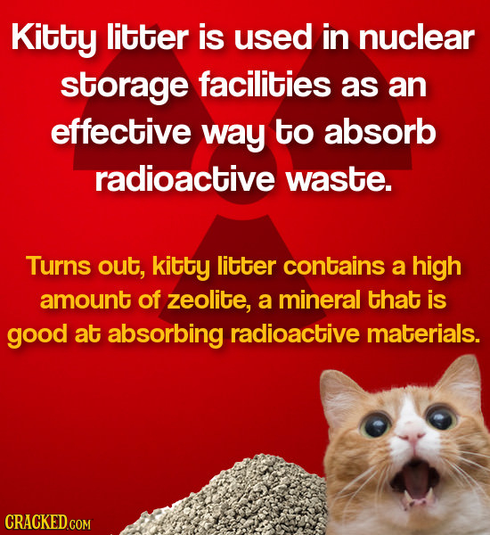 Kitty litter is used in nuclear storage facilities as an effective way to absorb radioactive waste. Turns out, kitty litter contains a high amount of 