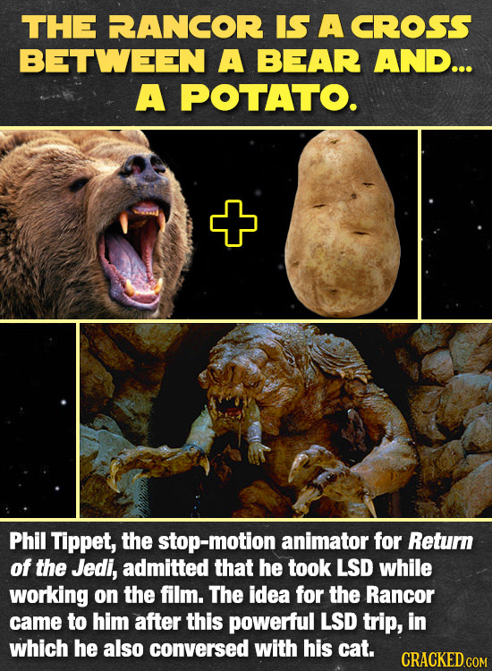 THE RANCOR IS A CROSS BETWEEN A BEAR AND... A POTATO. Phil Tippet, the stop-motion animator for Return of the Jedi, admitted that he took LSD while wo