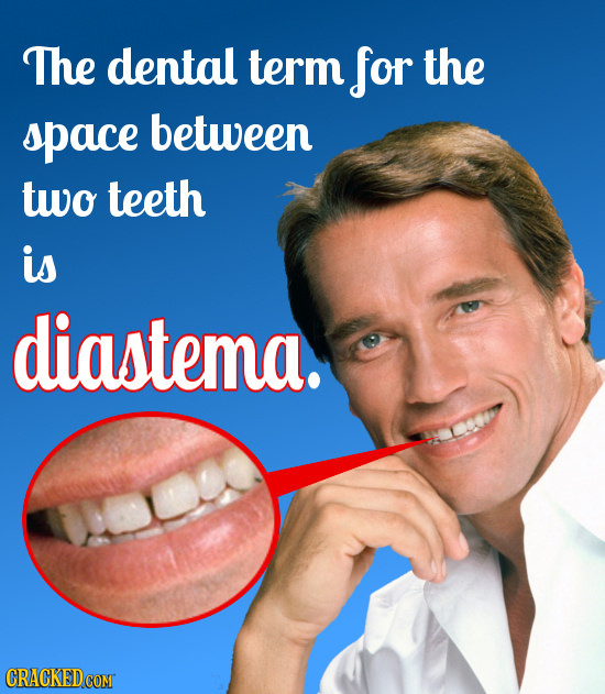 The dental term for the space between two teeth is diastema. CRACKEDCOMT