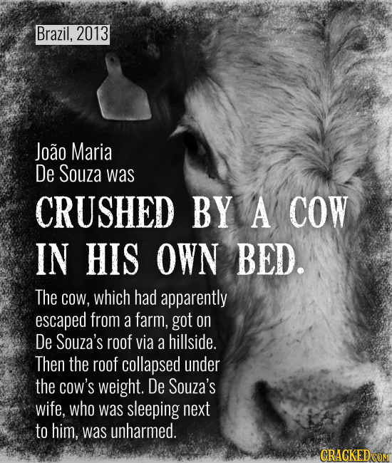 Brazil, 2013 Joao Maria De Souza was CRUSHED BY A COW IN HIS OWN BED. The COW, which had apparently escaped from a farm, got on De Souza's roof via a