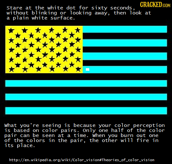 CRACKEDCOR stare at the white dot for sixty seconds, without blinking or looking away, then look at a plain white surface. what you're seeing is becau
