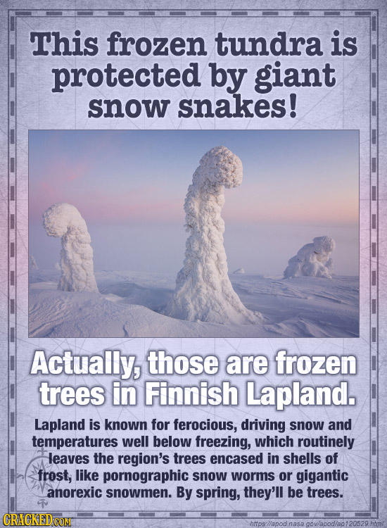 This frozen tundra is protected by giant snow snakes! Actually, those are frozen trees in Finnish Lapland. Lapland is known for ferocious, driving sno