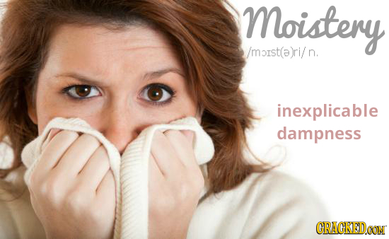 Moistery /moist(a)ri/ n. inexplicable dampness CRACKEDCON
