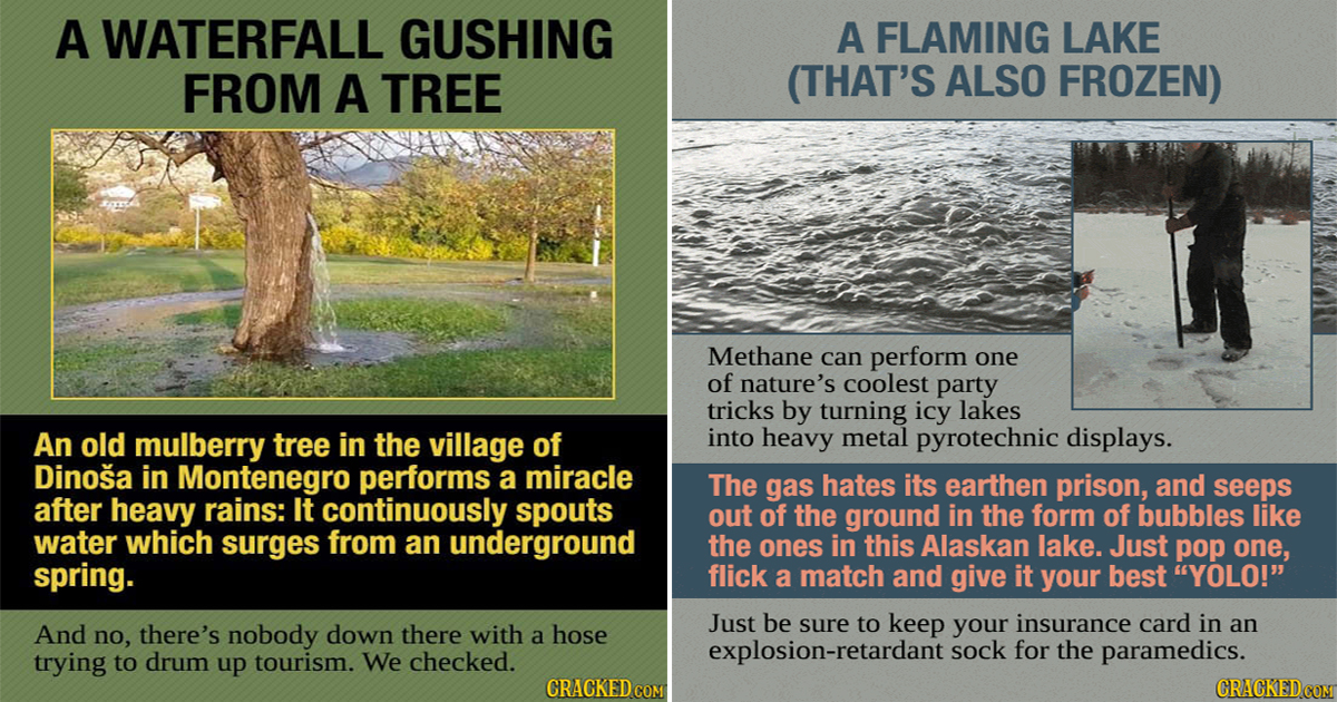 Unnatural Scenes Pulled Straight From Nature