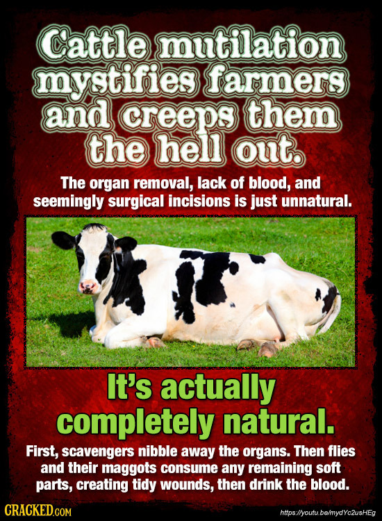 Cattle mutilation mystifies farmers and creeps them the hell out. The organ removal, lack of blood, and seemingly surgical incisions is just unnatural
