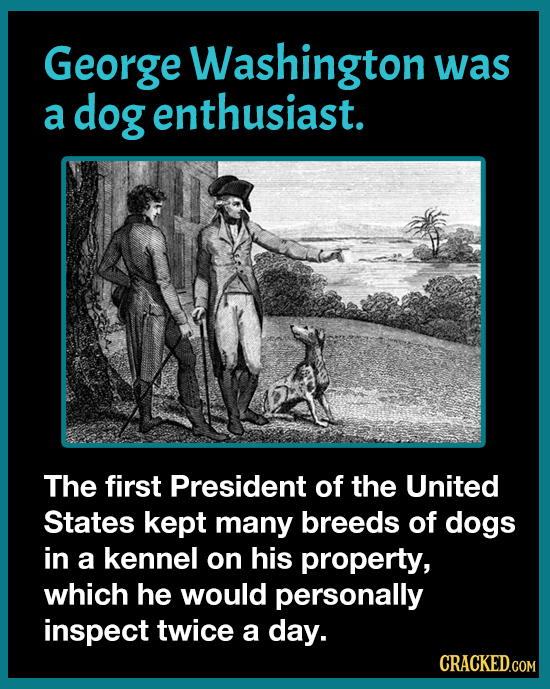 George Washington was a dog enthusiast. The first President of the United States kept many breeds of dogs in a kennel on his property, which he would
