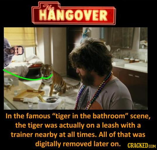 Tlbe HANGOVER In the famous tiger in the bathroom scene, the tiger was actually on a leash with a trainer nearby at all times. All of that was digit