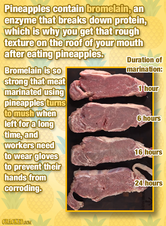 Pineapples contain bromelain, an enzyme that breaks down protein, which is why you get that rough texture on the roof of your mouth after eating pinea