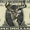 23 Staggering (True) Facts About Money
