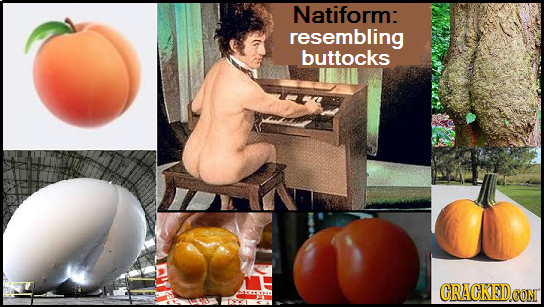 Natiform: resembling buttocks CRACKEDCON
