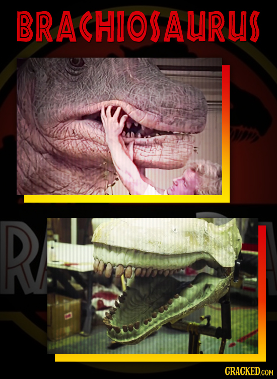 BRACHIOSAURUS R CRACKED.COM