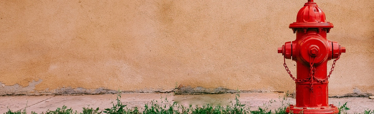 15 Freaky Deaths that Prove the Grim Reaper Has a Sick Sense of Humor