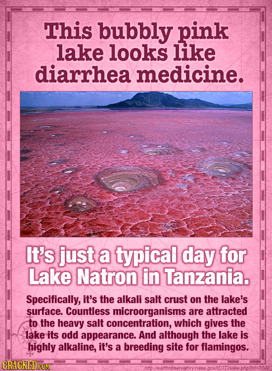 This bubbly pink lake looks like diarrhea medicine. It's just a typical day for Lake Natron in Tanzania. Specifically, it's the alkali salt crust on t