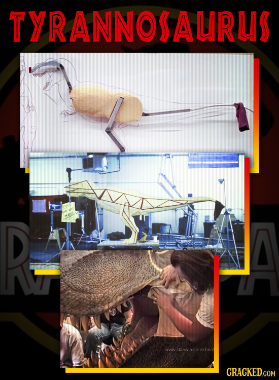 TYRANNOSAURL R- MES wwstanwinstonschoo