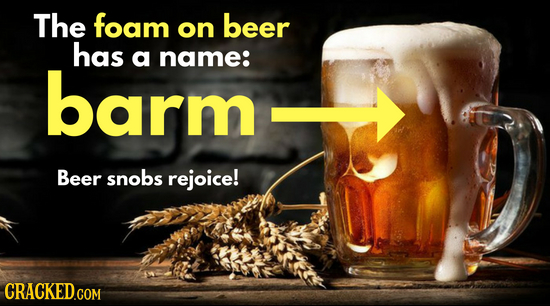 The foam beer on has a name: barm Beer snobs rejoice! 