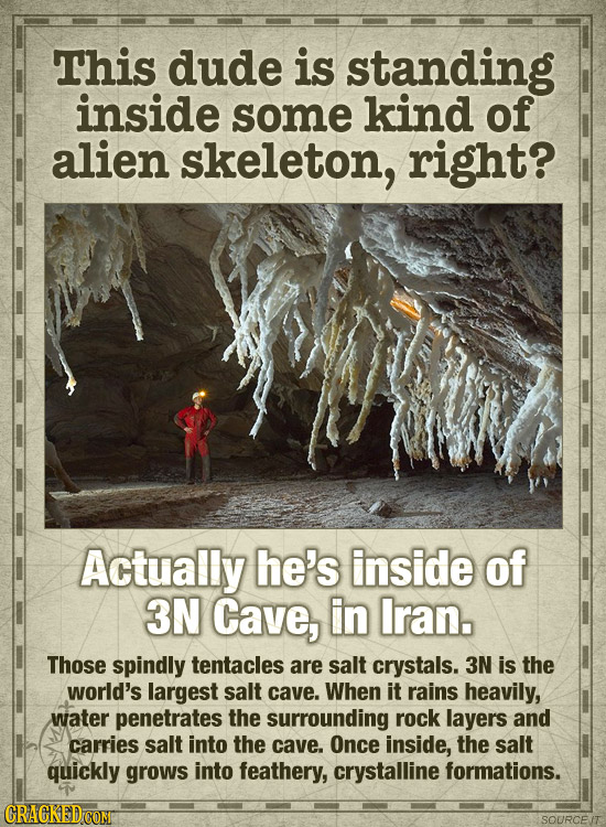 This dude is standing inside some kind of alien skeleton, right? Actually he's inside of 3N Cave, in Iran. Those spindly tentacles are salt crystals. 