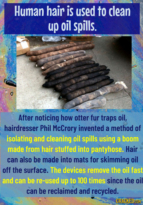 Human hair is used to clean up oil spills. After noticing how otter fur traps oil, hairdresser Phil McCrory invented a method of isolating and cleanin