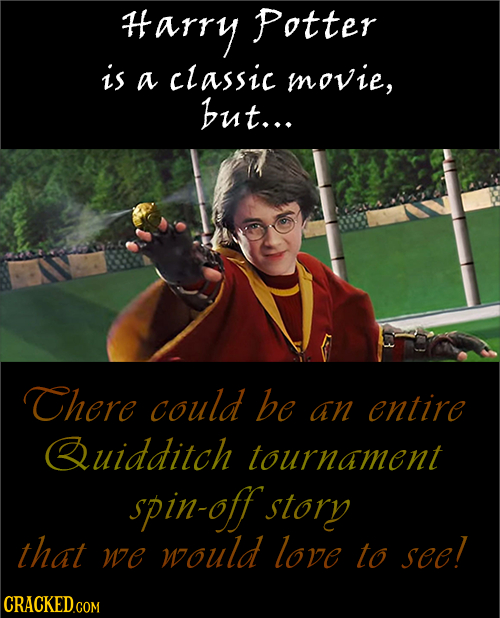 #arry Potter is a classic movie, but... There could be an entire Quidditch tournament spin-off story that would love we to see!
