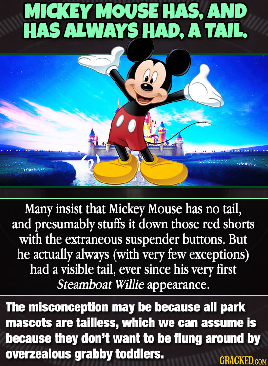 MICKEY MOUse HAS, AND HAS ALWAYS HAD, A TAIL. Many insist that Mickey Mouse has no tail, and presumably stuffs it down those red shorts with the extra