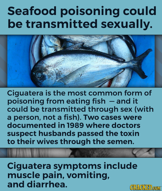 Seafood poisoning could be transmitted sexually. Ciguatera is the most common form of poisoning from eating fish and it could be transmitted through s