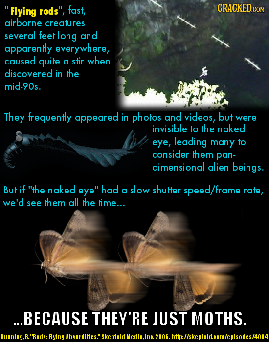 Flying rods, fast, CRACKEDco airborne creatures several feet long and apparently everywhere, caused quite a stir when discovered in the mid-90s. Th