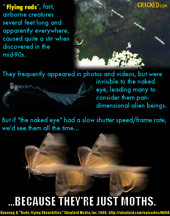  Flying rods, fast, CRACKEDco airborne creatures several feet long and apparently everywhere, caused quite a stir when discovered in the mid-90s. Th