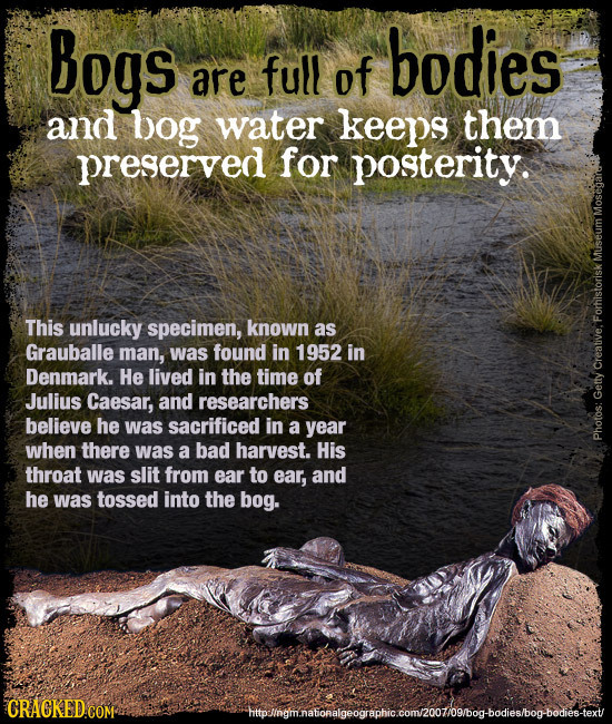Bogs bodies are full of and bog water keeps them preserved for posterity. MUST This unlucky specimen, known as Forhistorisk Grauballe man, was found i