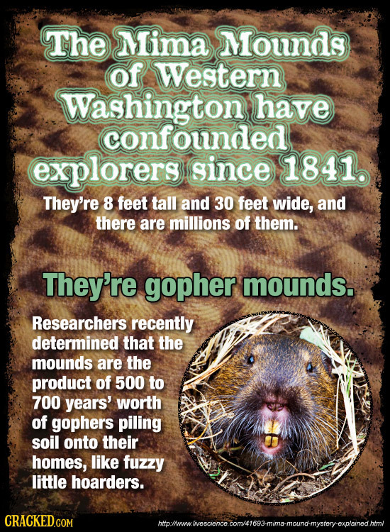 The Mima Mounds of Western Washington have confounded explorers since 1841 They're 8 feet tall and 30 feet wide, and there are millions of them. They'