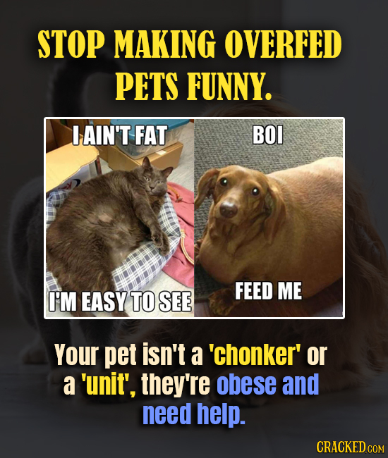 STOP MAKING OVERFED PETS FUNNY. I AIN'T FAT BOI FEED ME I'M EASY TO SEE Your pet isn't a 'chonker' or a 'unit', they're obese and need help. CRACKED C