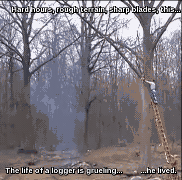 15 Terrifying Jobs It's Shocking Anyone Has the Balls to Do