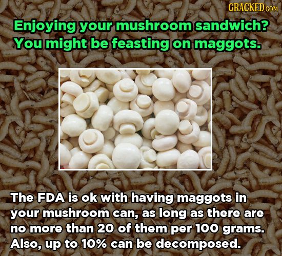 CRACKEDO Enjoying your mushroom sandwich? You might be feasting on maggots. The FDA is ok with having maggots in your mushroom can, as long as there a