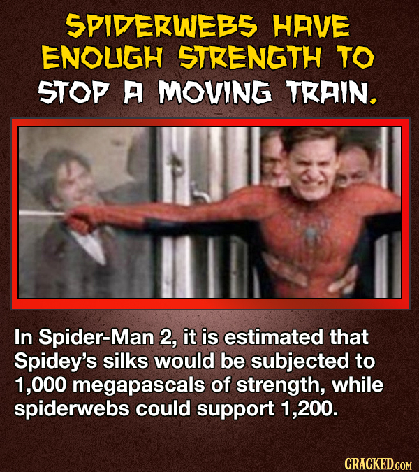 SPIDEKWEBS HAVE ENOUGH STRENGTH TO STOP A MOVING TRAIN. In Spider-Man 2, it is estimated that Spidey's silks would be subjected to 1,000 megapascals of strength, while spiderwebs could support 1,200. CRACKED.GOM