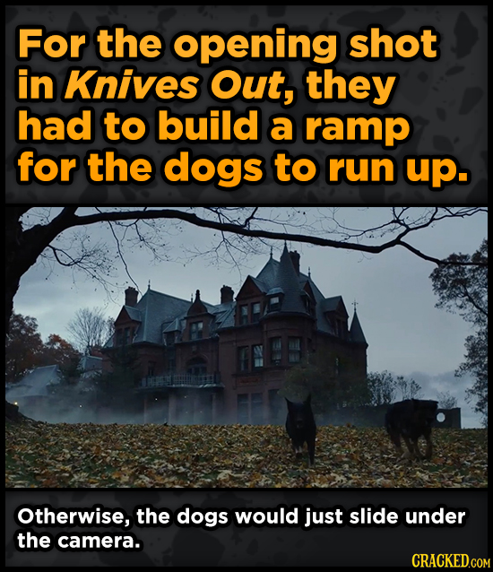 For the opening shot in Knives Out, they had to build a ramp for the dogs to run up. Otherwise, the dogs would just slide under the camera.
