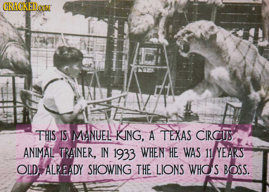 GRAGKEDCON THIS IS MANUEL KING, A TEXAS CIRCUS ANIMAL TRAINER, IN 1933 WHEN HE WAS 11 YEARS OLD, ALREADY SHOWING THE LIONS WHOS BOSS.