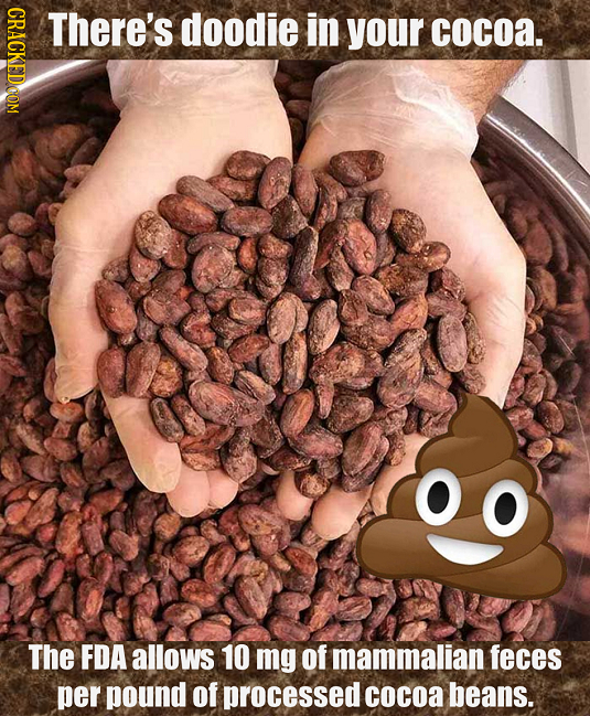 CRACKEDGOM There's doodie in your cocoa. o O The FDA allows 10 mg of mammalian feces per pound of processed cocoa beans.