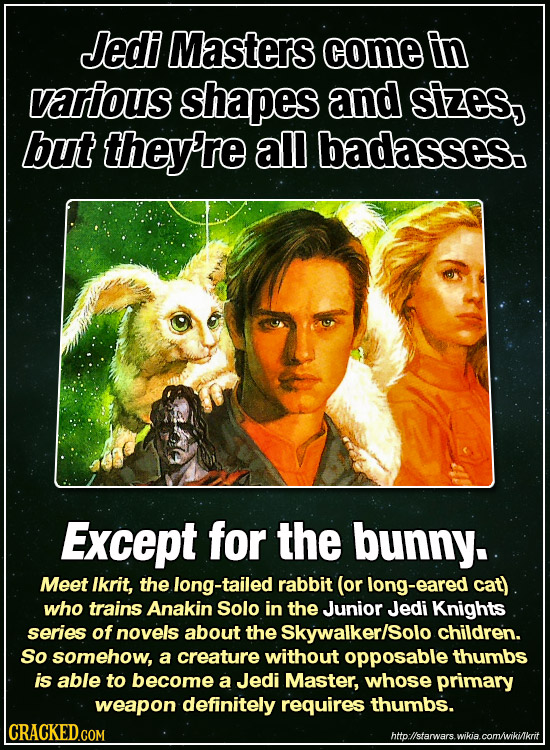 Jedi Masters come in various shapes and sizes, but they're all badasses. Except for the bunny. Meet lkrit, the long-tailed rabbit (or ng-eared cat) wh