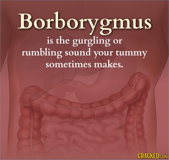 Borboryg gmus is the gurgling or rumbling sound your tummy sometimes makes. CRACKED COM 