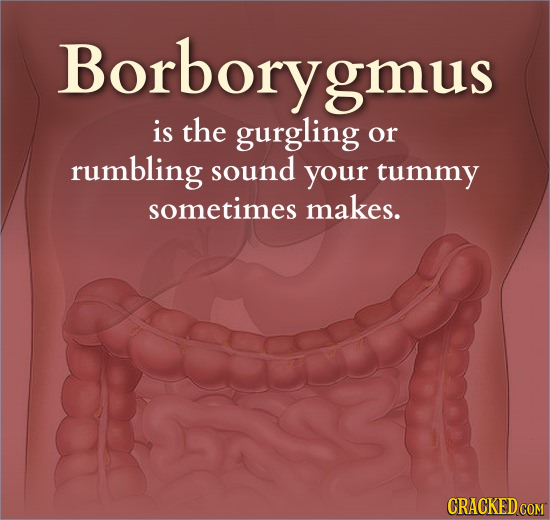 Borboryg gmus is the gurgling or rumbling sound your tummy sometimes makes. CRACKED COM
